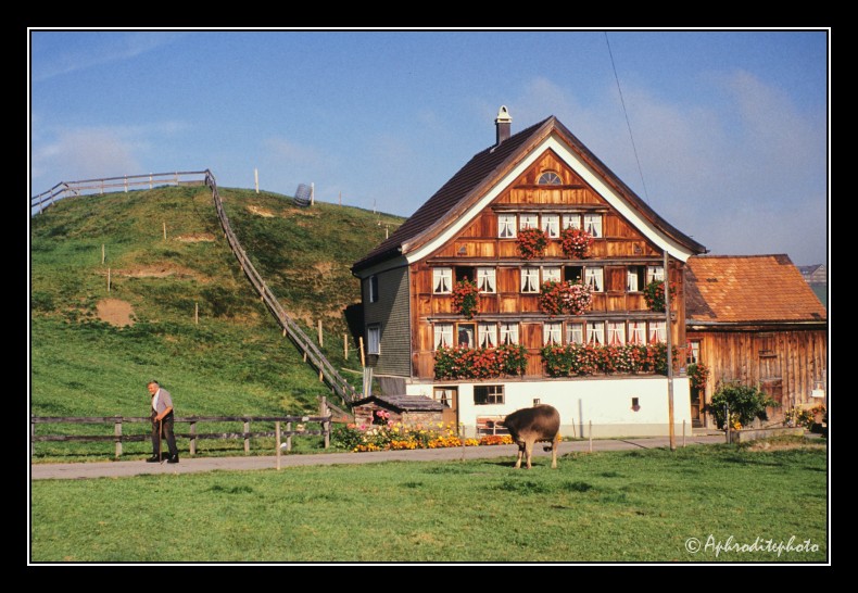 04 Bauernhof